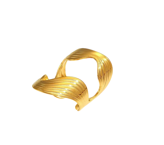 Anillo BRA